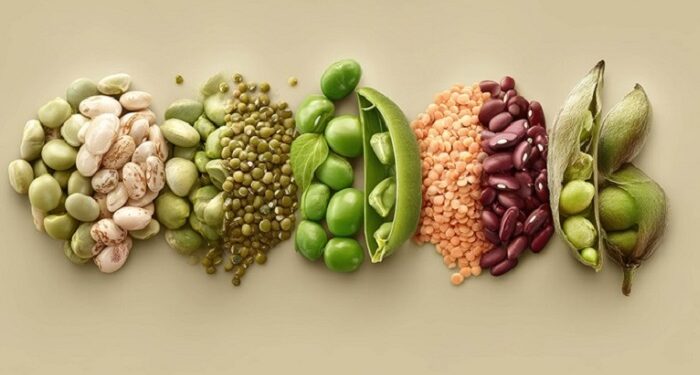 verduras