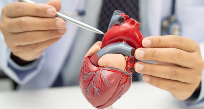 corazón