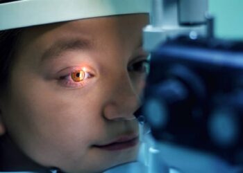 cornea 2