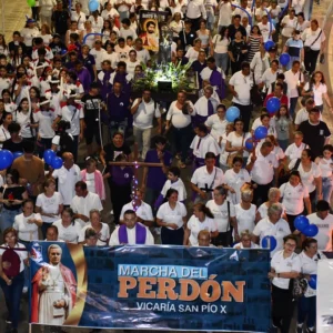 perdon (2)
