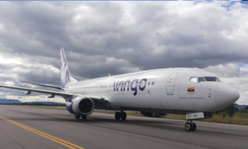 wingo
