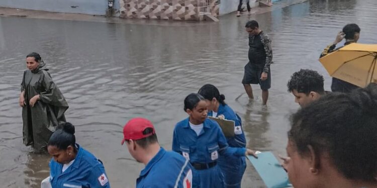 cruz roja