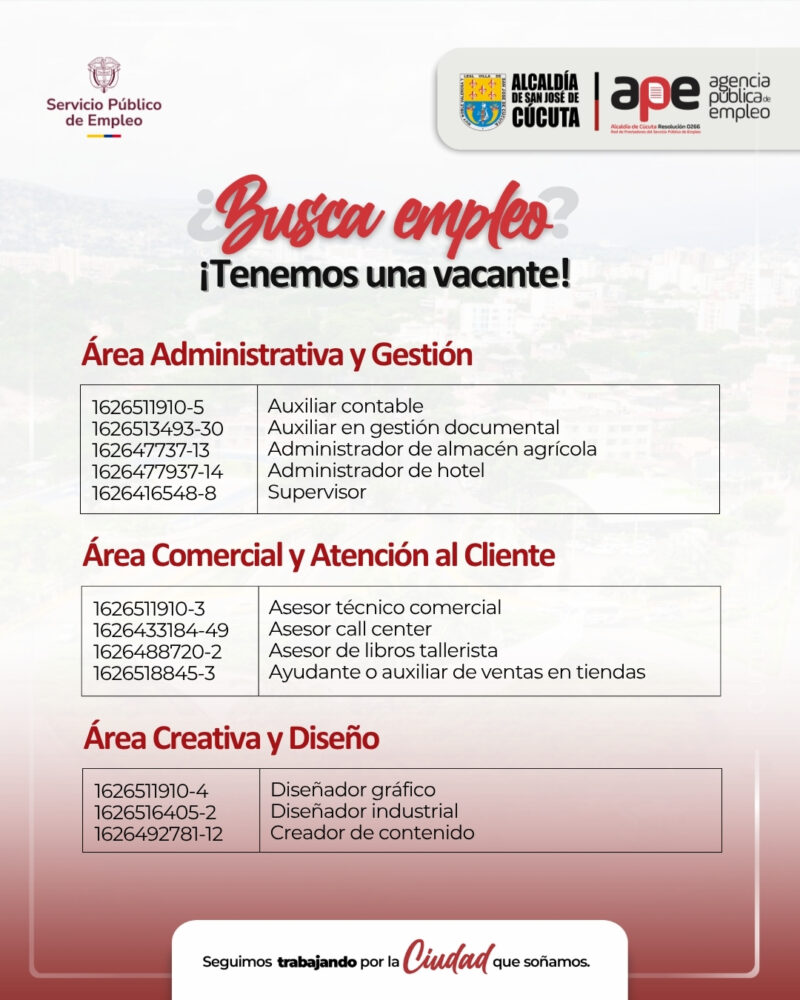 empleo (2)