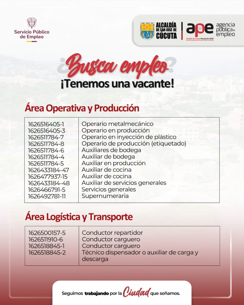 empleo (3)