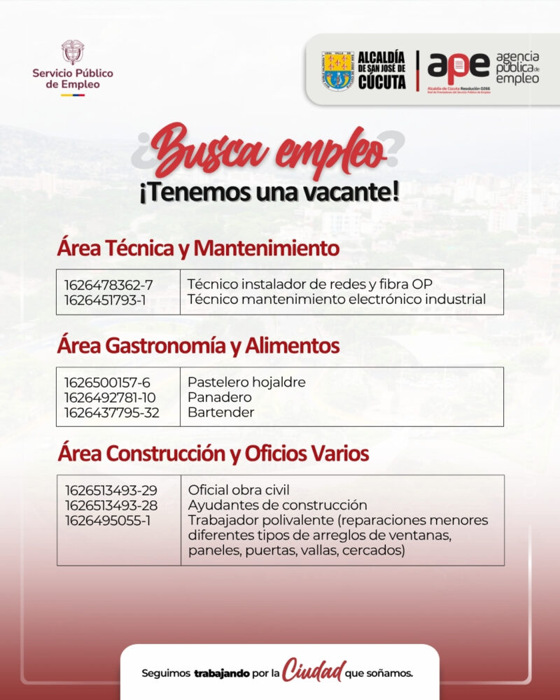 empleo (4)