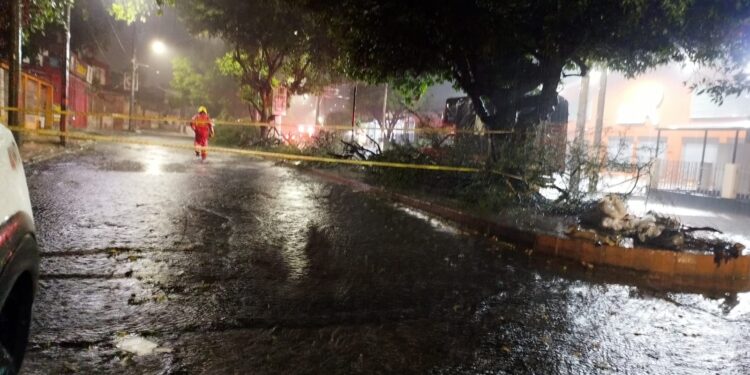 lluvias (1)