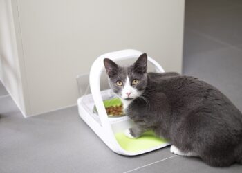 sure petcare microchip pet feeder connect 300dpi