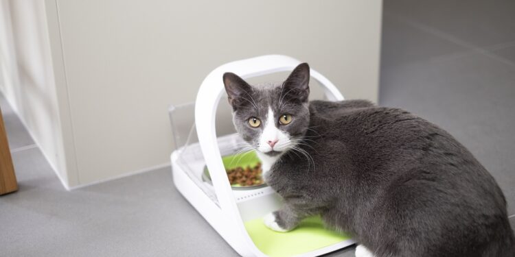 sure petcare microchip pet feeder connect 300dpi