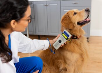msd día del médico veterinario 1