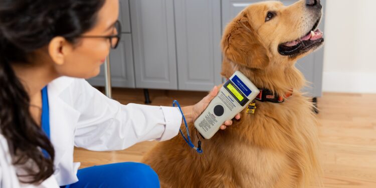 msd día del médico veterinario 1