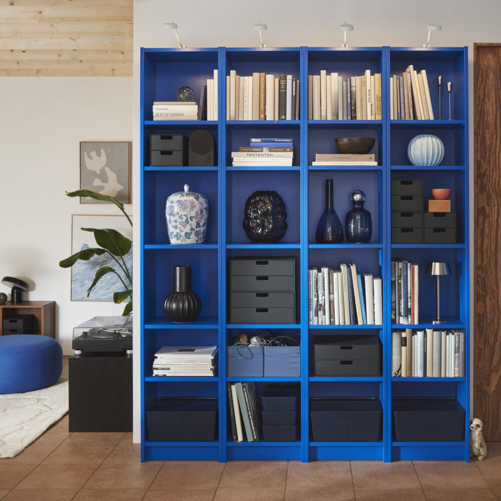 organización (4)