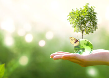 earth,crystal,glass,globe,ball,and,growing,tree,in,human