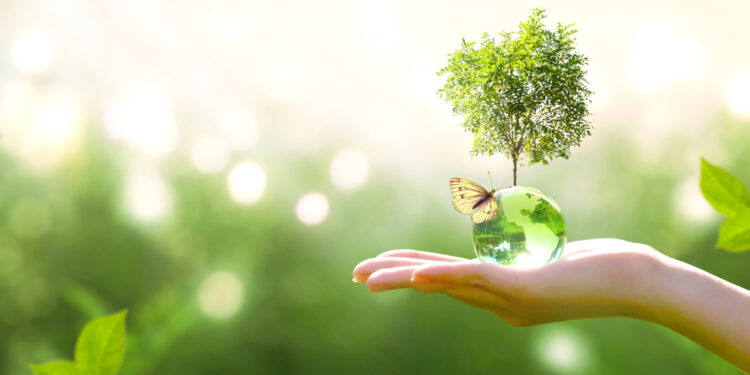 earth,crystal,glass,globe,ball,and,growing,tree,in,human
