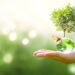 earth,crystal,glass,globe,ball,and,growing,tree,in,human