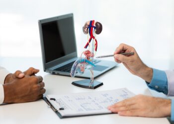 close up during consultation of a male patient suspected of having bacterial prostatitis. prostate disease and treatment anatomical model of the male reproductive system in the hands of a doctor.