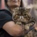 expopet abre sus puertas en corferias del 13 al 17 de agosto para las familias interespecie xxii
