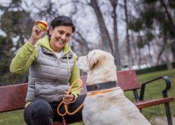 canine person with dog in park 2017 5566 300dpi
