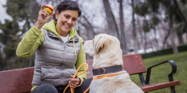 canine person with dog in park 2017 5566 300dpi