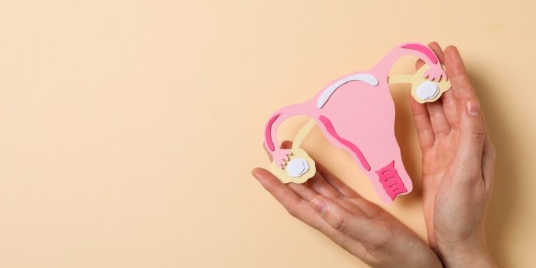 women's health and women's healthcare concept with uterus