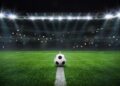 textured,free,soccer,field,in,the,evening,light, ,center,