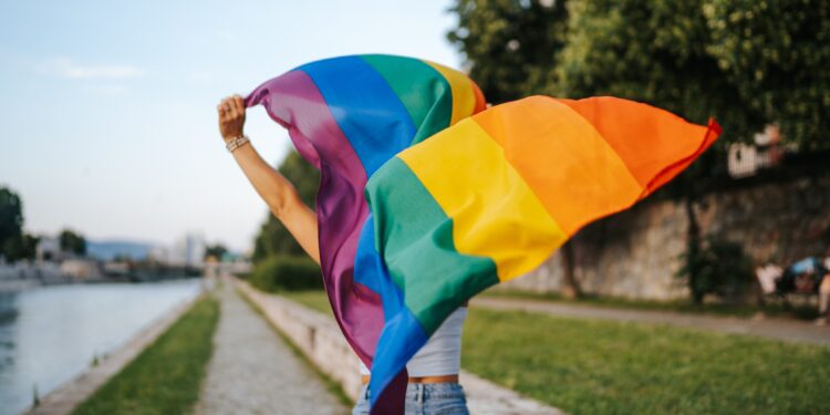 ipsos pride 2026 imagen