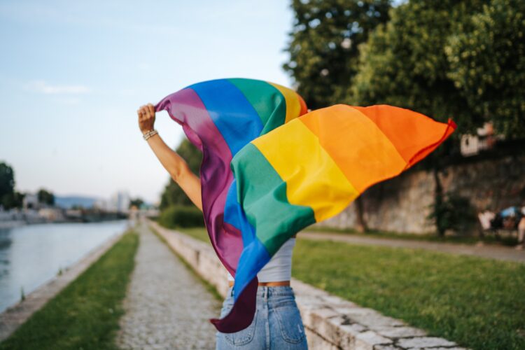 ipsos pride 2026 imagen