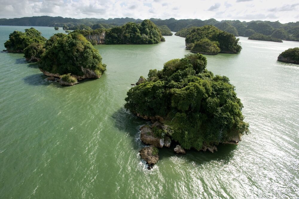 isla de los pajaros. parque nacional los haitises. samaná 5