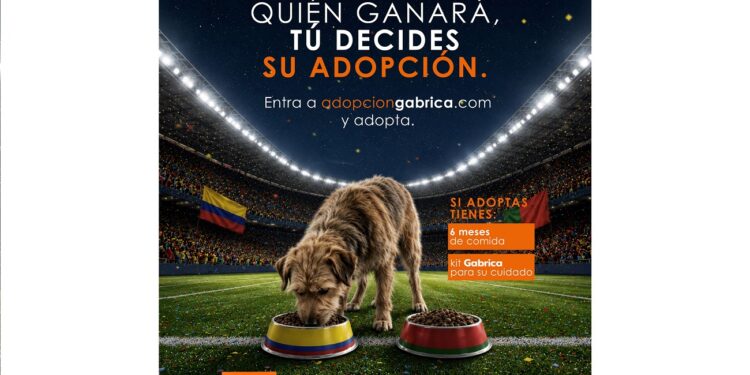 kv adopcion mundial ok
