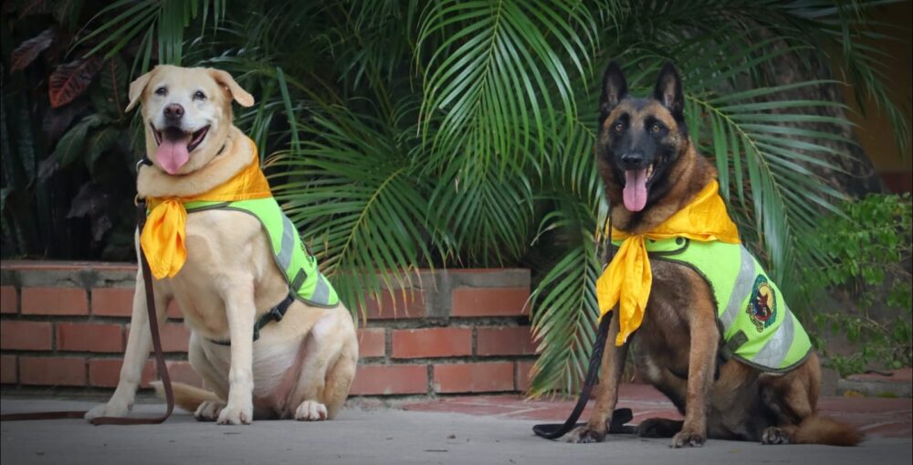 perros policias (1)