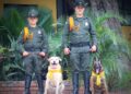perros policias (4)
