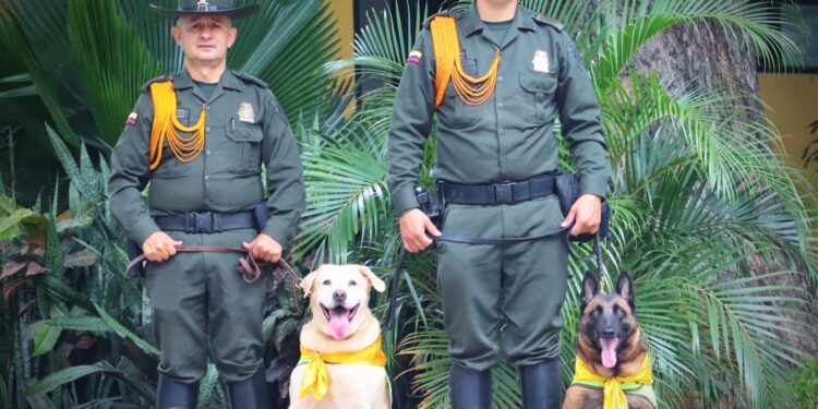 perros policias (4)