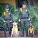 perros policias (4)