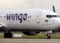 wingo