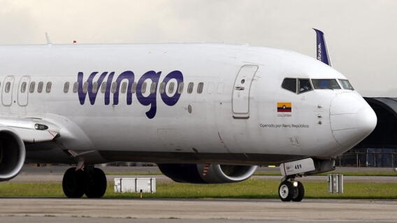 wingo