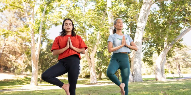women concentrating during their yoga workout in the park