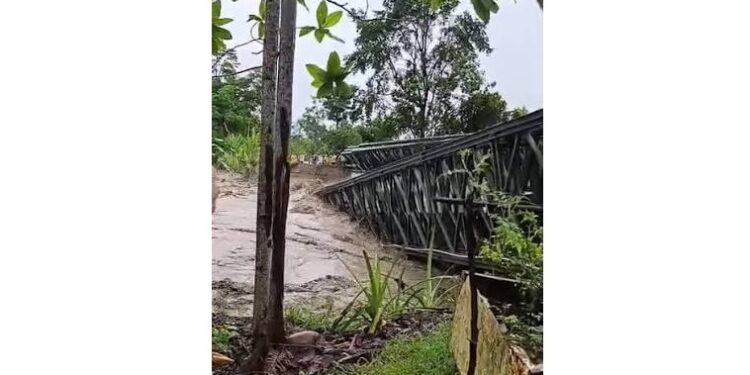 aarauca