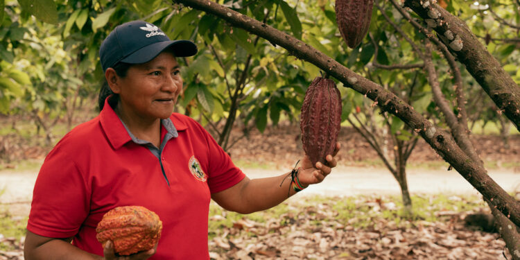 cacao