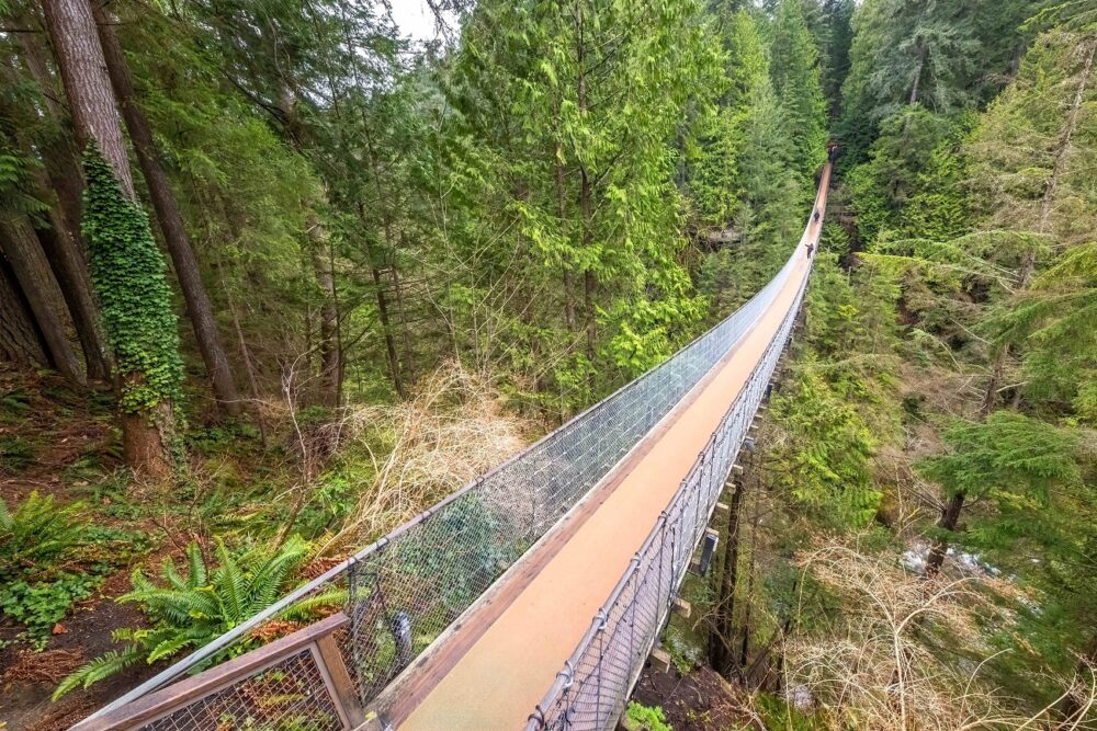 capilano suspension bridge park