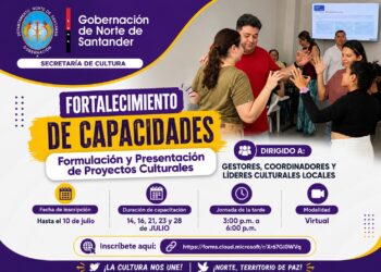 convocatoria formulacion de proyectos