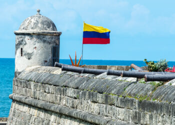 defensive wall and cannons