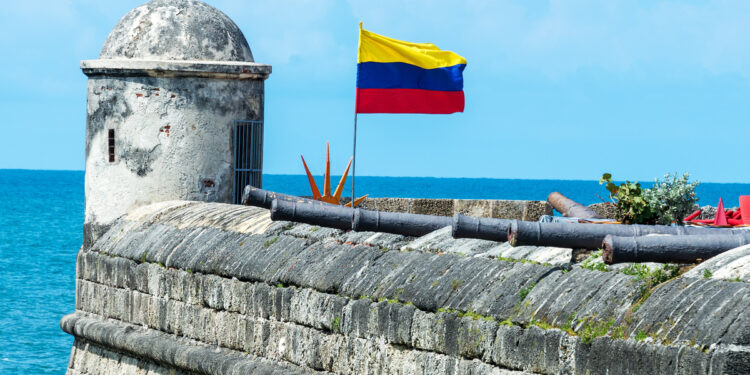 defensive wall and cannons