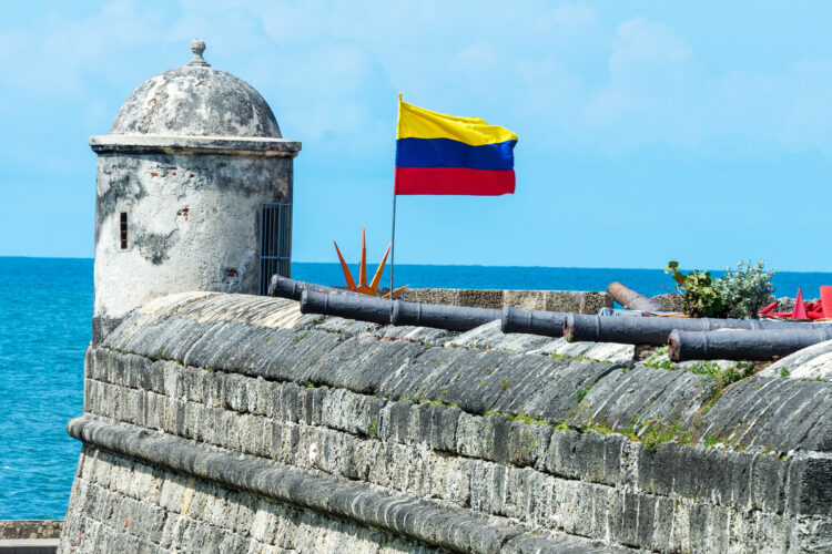 defensive wall and cannons