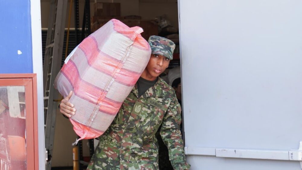 ejercito (4)