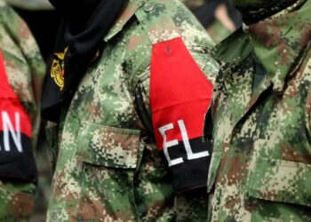 eln 3 0