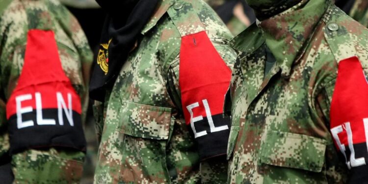 eln 3 0
