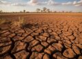 arid mud landscape, broken tree sunset season generated by ai