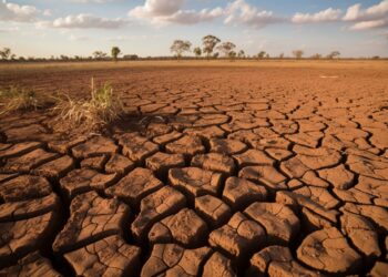 arid mud landscape, broken tree sunset season generated by ai