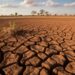 arid mud landscape, broken tree sunset season generated by ai
