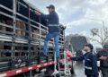 incautacion de semovientes en operativo de control sanitario en norte de santander 3
