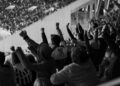 wc 13 july (1)